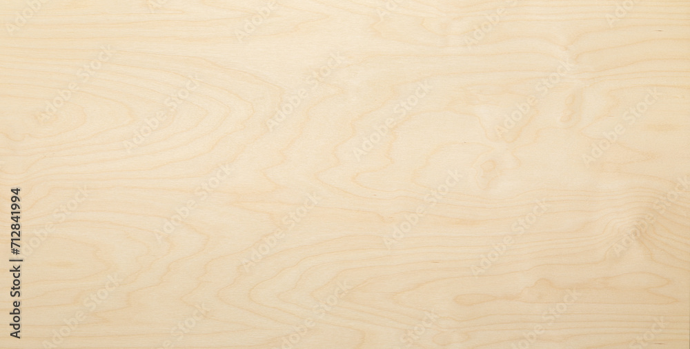 wood texture background. texture of wood. High key birch wood plank natural texture, plank texture background, plank tabletop background.	 - obrazy, fototapety, plakaty 