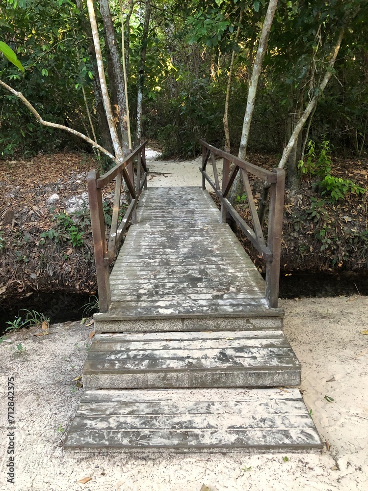 wooden bridge in the forest wooden bridge in the forest