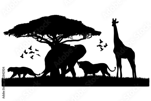 Wildlife Animal Vector