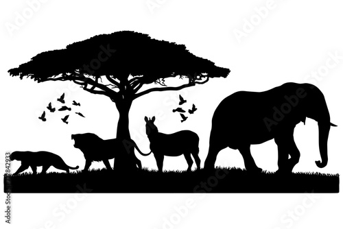 Wildlife Animal Vector