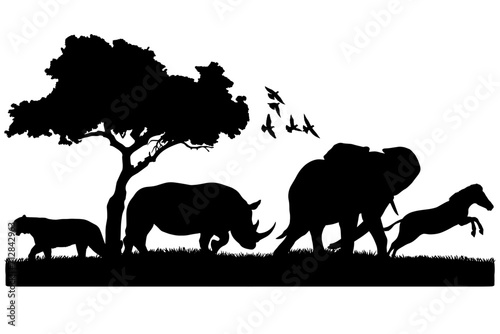 Wildlife Animal Vector