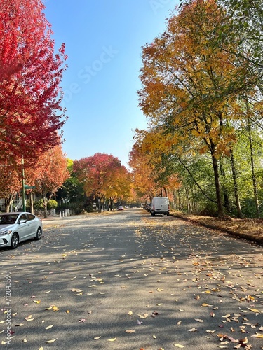 A charming autumn scene unfolds on this street, where vibrant fall trees paint the sidewalks with shades of gold and rust. Sunlight filters through the leaves, creating a warm and inviting atmosphere.