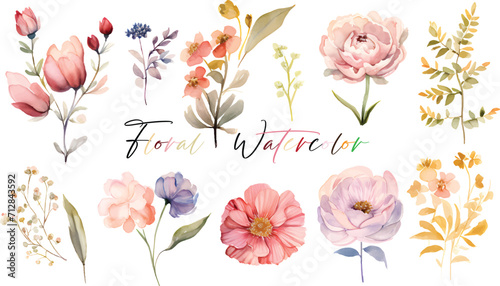 A very beautiful collection of watercolor flowers photo