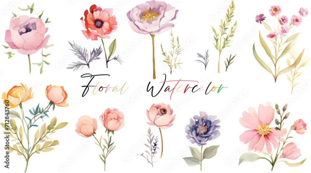 Fototapeta premium A very beautiful collection of watercolor flowers