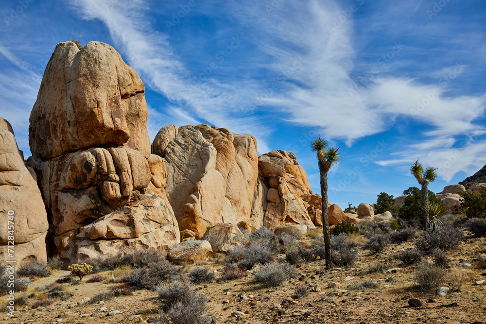 Joshua Tree National park with beautiful rock formations and Joshua trees on a blue sky day near Palm Springs California USA