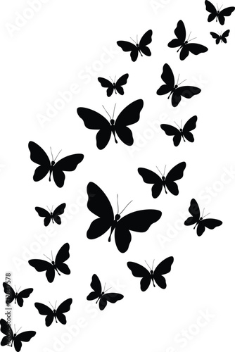 Butterfly Isolated On A White Background	
