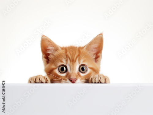 Adorable ginger kitten with big curious eyes peeking over a white surface against a plain background.