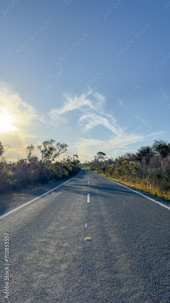 Australia Road in the Bush