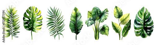Set of vibrantly green tropical leaves, each unique, isolated on a white background