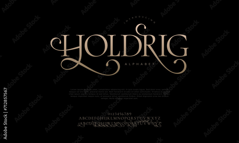Holdrig premium luxury elegant alphabet letters and numbers. Elegant wedding typography classic serif font decorative vintage retro. Creative vector illustration Holdrig premium luxury elegant alphabet letters and numbers. Elegant wedding typography classic serif font decorative vintage retro. Creative vector illustration