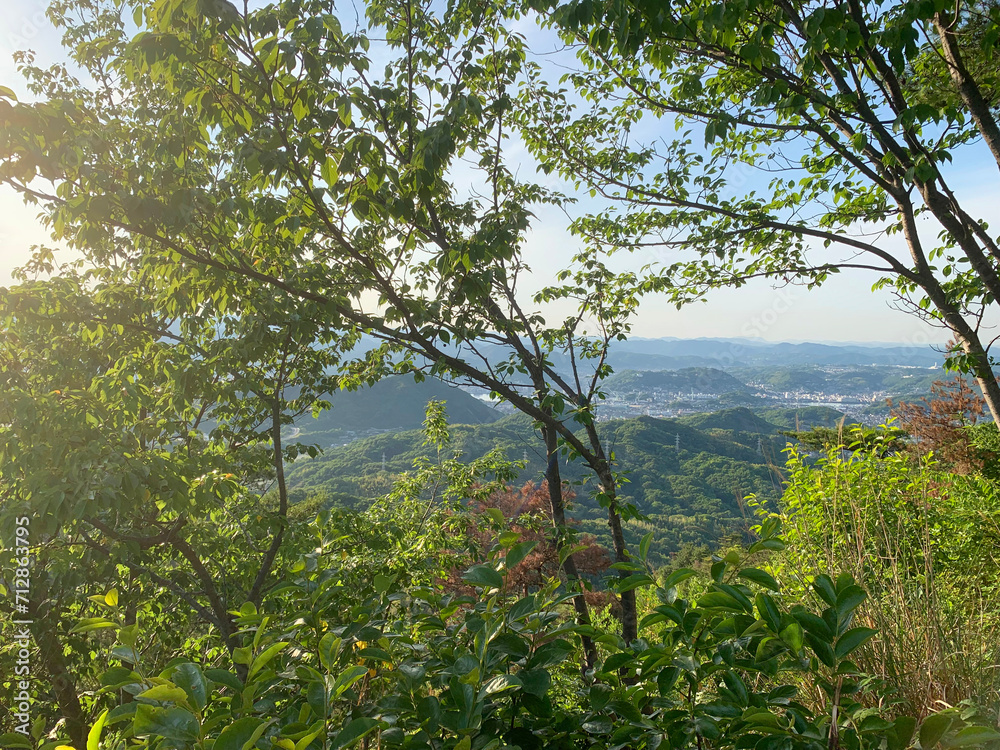 Obraz premium 頂上からの眺め