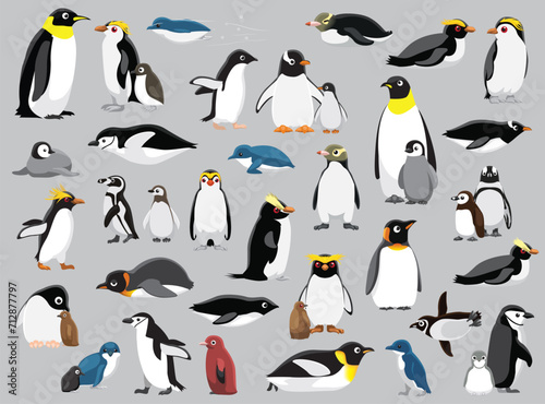 Penguin Town Various Species Vector Illustration