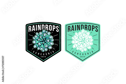 raindrops succulents and echeveria badge emblem logo design for plant shop and lover business
