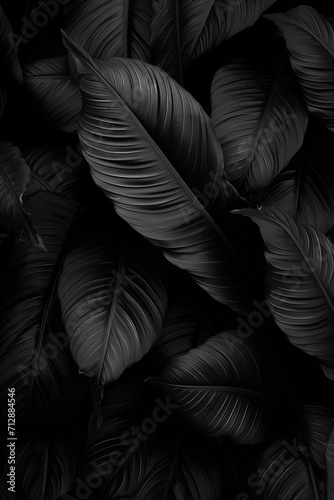 Textures of abstract black tropical leaves. Tropical leaf background, Dark nature concept. Generative AI