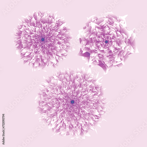 Delicate petals dance in harmonious splendor in our vector creation, 'Blooms of Elegance.' This enchanting illustration captures the timeless beauty of flowers, each stroke meticulously crafted to sho