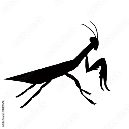silhouette of a praying mantis or black insect