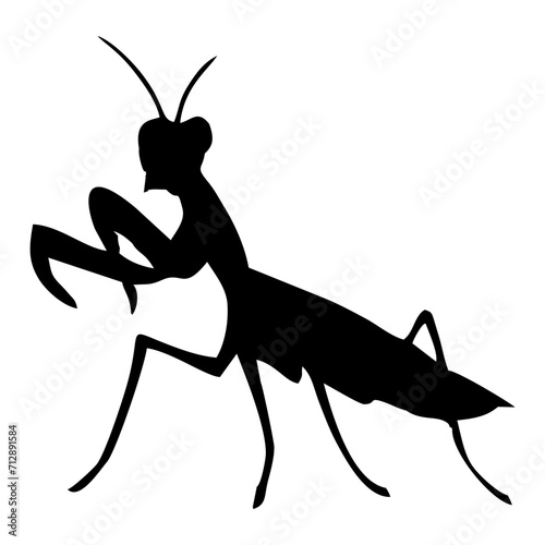 silhouette of a praying mantis or black insect