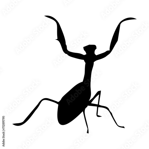 silhouette of a praying mantis or black insect