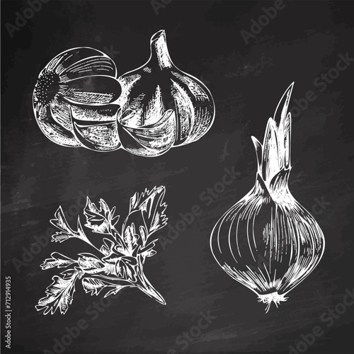 Hand-drawn agriculture and farm isolated design elements. Garlic, pea, parsley sketch vector illustration. Autumn harvest. Vintage illustration on a chalk board background.