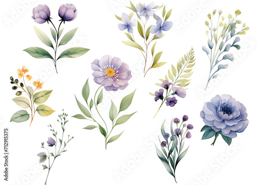 set of flowers watercolor illustration purple tone for wedding card 