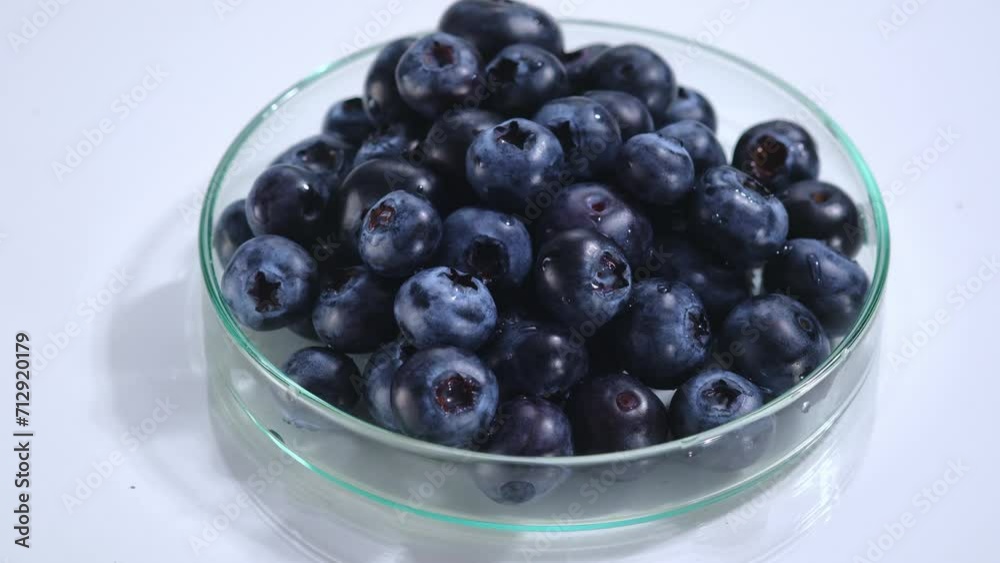 Plump blueberries are displayed inside a transparent petri dish on a white turning table. Attractive scene for product advertising with blueberries as the main ingredient. Plump blueberries are displayed inside a transparent petri dish on a white turning table. Attractive scene for product advertising with blueberries as the main ingredient.