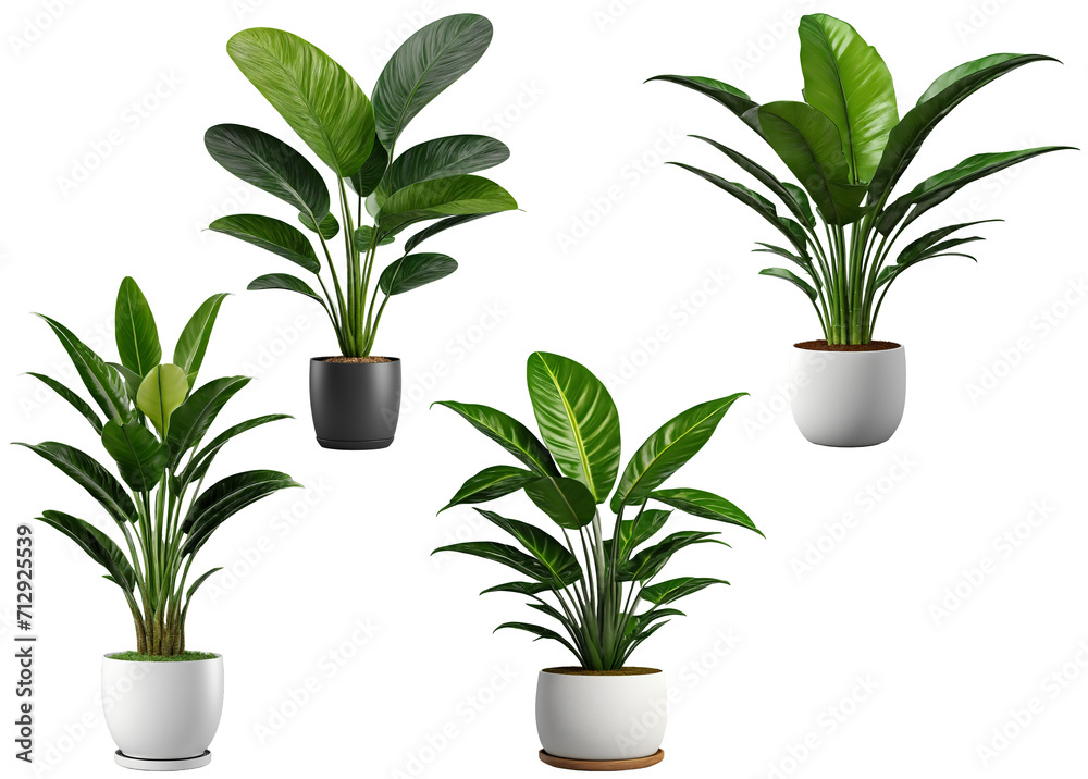 Fototapeta premium 観葉植物のセット.generative AI