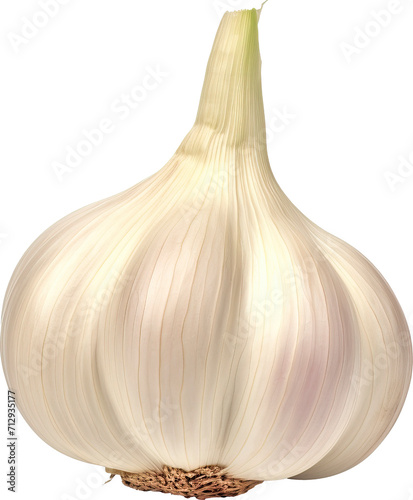 Garlic bulb isolated on transparent background. PNG © Tran