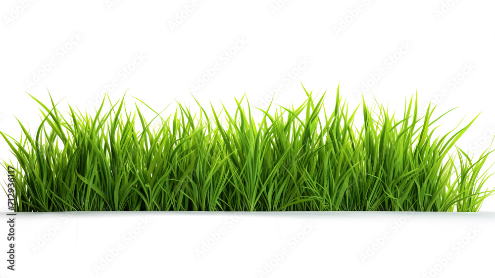 Grass isolated on transparent background. PNG Grass isolated on transparent background. PNG