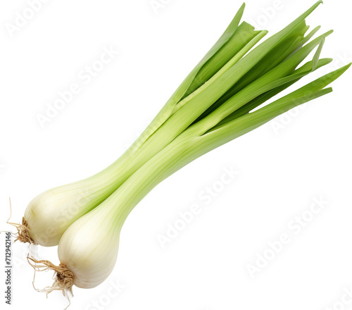Fresh organic green onions isolated on transparent background. PNG