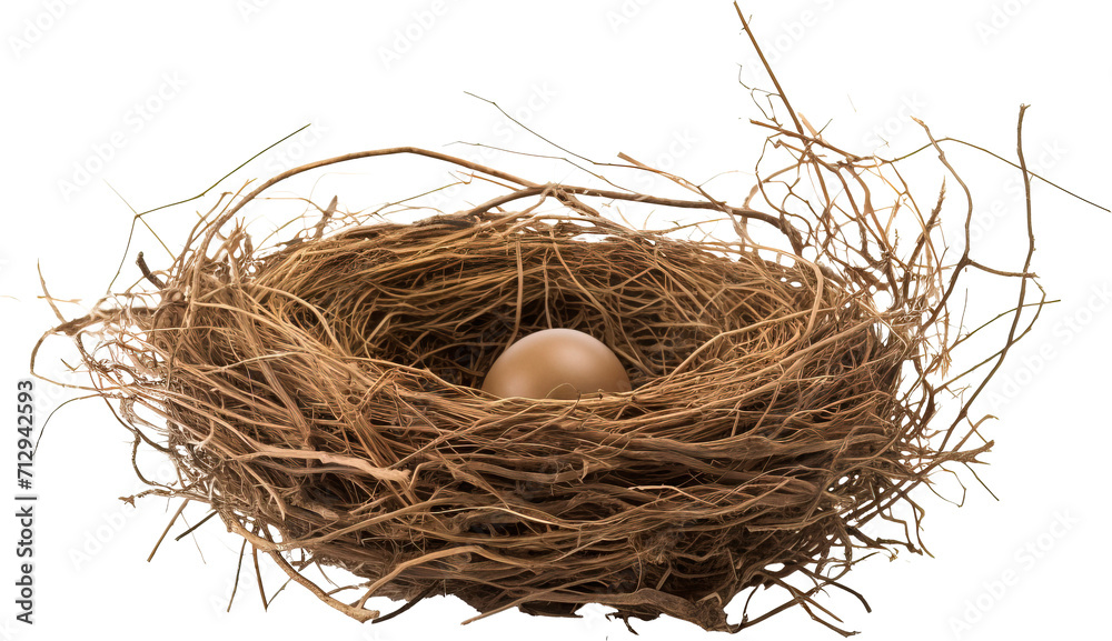 Bird nest isolated on transparent background. PNG Bird nest isolated on transparent background. PNG