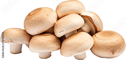 Mushrooms isolated on transparent background. PNG
