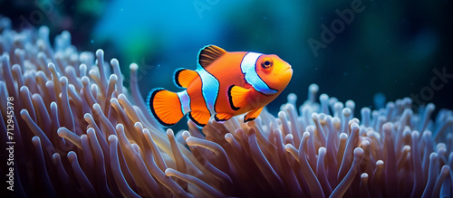 Tropical Coral Landscape with Exotic Fish. Underwater Oasis with Tropical Fish