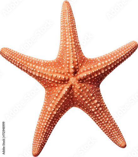 Starfish isolated on transparent background. PNG