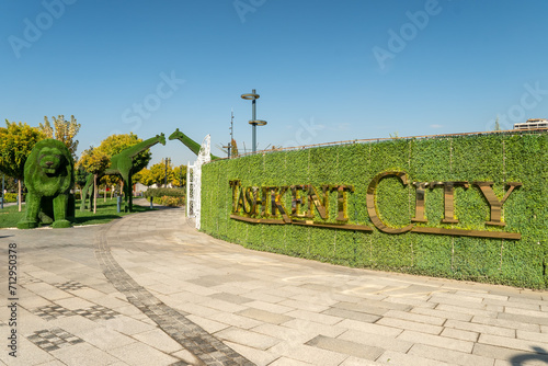 the Tashkent city park lit by sun on a green grass background on a day time.