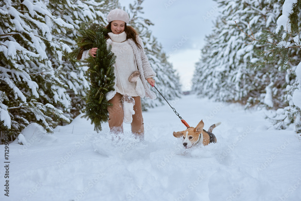 girl in winter clothes plays with Beagle dog in winter in the snow, winter holiday concept girl in winter clothes plays with Beagle dog in winter in the snow, winter holiday concept