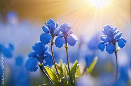 blue flowers in the spring © azait24
