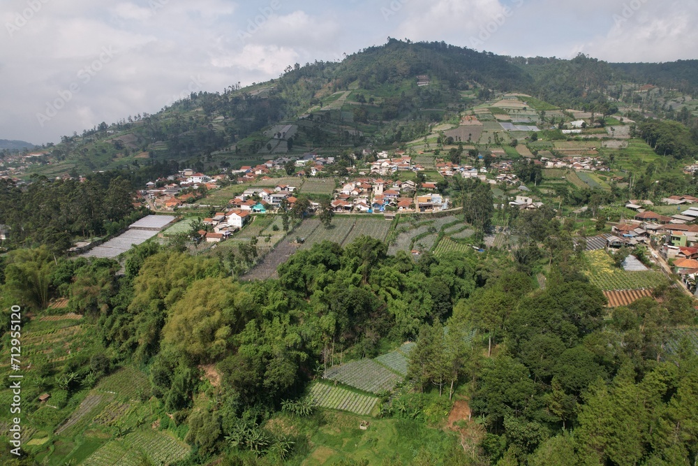 agricultural land with mulch on the slopes of Mount Tangkuban Perahu in West Java. agriculture in the tropics. settlement. agricultural land with mulch on the slopes of Mount Tangkuban Perahu in West Java. agriculture in the tropics. settlement.