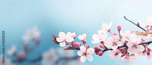 Beautiful clean background with spring flower branches, soft focus and light, bokeh, copy space