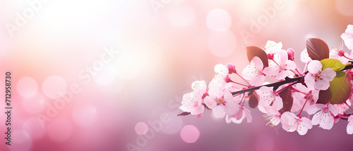 Beautiful clean background with spring flower branches, soft focus and light, bokeh, copy space © IonelV