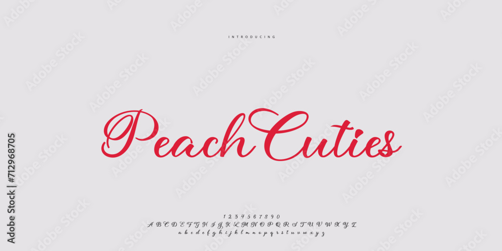 Abstract Fashion font alphabet. Minimal modern urban fonts for logo, brand etc. Typography Calligraphy typeface uppercase lowercase and number. vector illustration
Abstract Fashion font alphabet. Minimal modern urban fonts for logo, brand etc. Typography Calligraphy typeface uppercase lowercase and number. vector illustration
