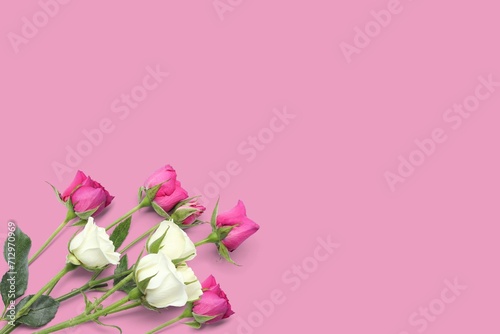 romantic valentine concept Top view photo roses on pink background © Lucky_jl