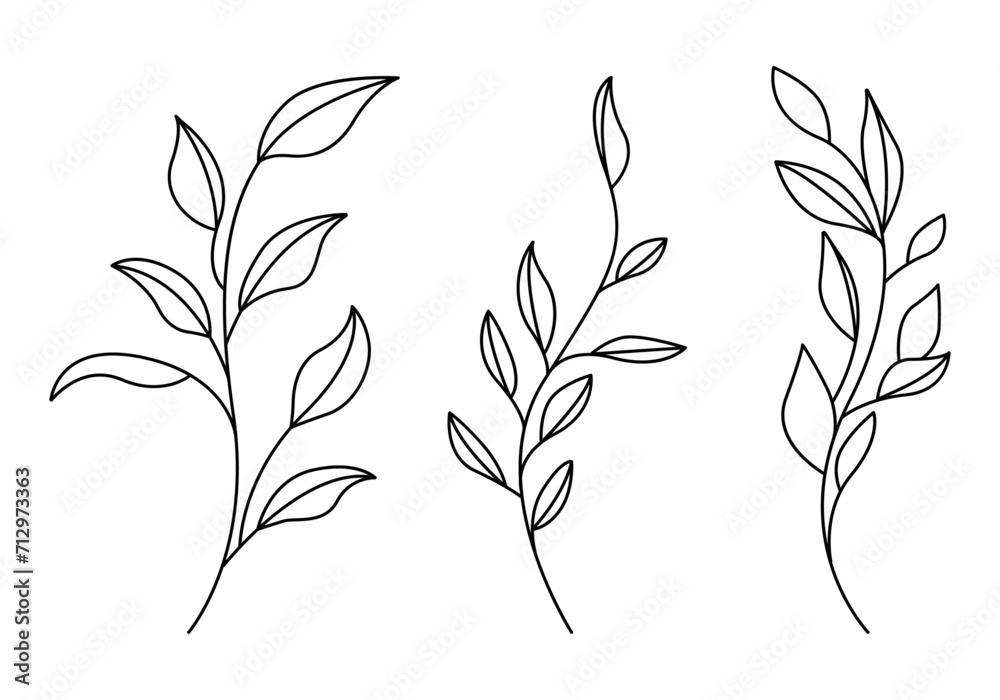 Set of Plants with Leaves Line Art Drawing. Simple Vector Botanical Illustration. Trendy Greenery Outline Hand Drawn Sketches Collection. Floral Design for Social Media, Vegan and Cosmetic Logo, Tatto - obrazy, fototapety, plakaty 