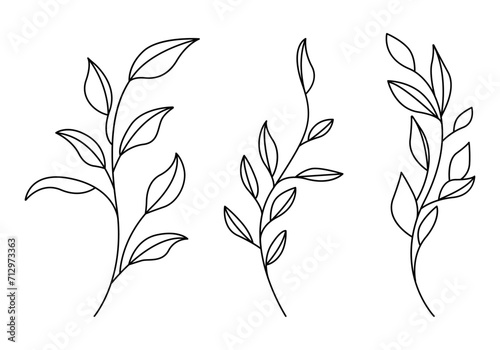 Set of Plants with Leaves Line Art Drawing. Simple Vector Botanical Illustration. Trendy Greenery Outline Hand Drawn Sketches Collection. Floral Design for Social Media, Vegan and Cosmetic Logo, Tatto