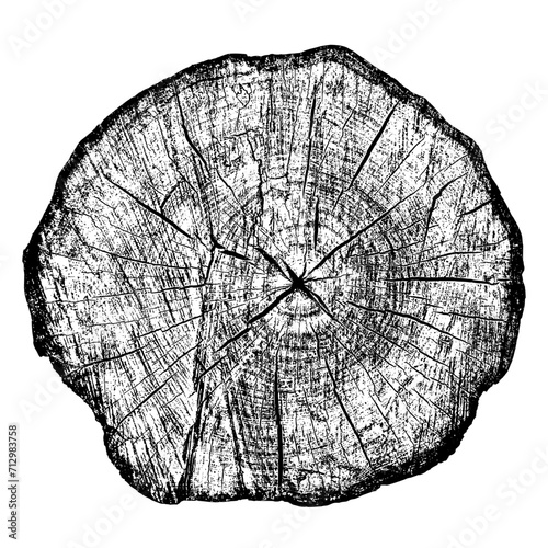 Wood texture cross section of tree rings. Cut slice of wooden stump isolated on white. Textured surface with rings and cracks. Black background made of hardwood from the forest. Vector illustration.