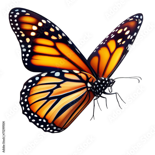 Monarch butterfly isolated on white or transparent background, png © road to millionaire