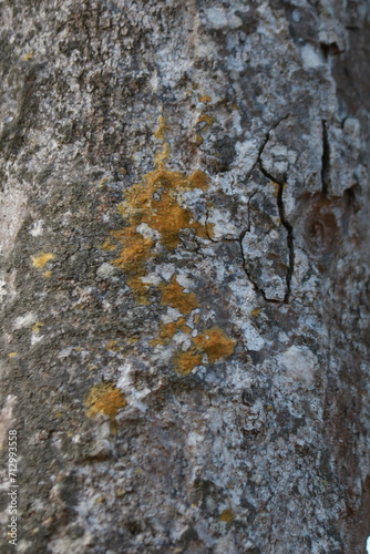 texture