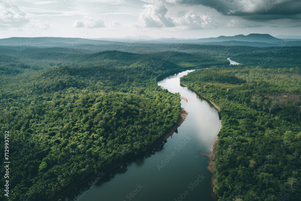 Top view of a river in rainforest