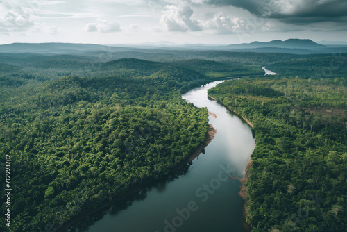 Top view of a river in rainforest