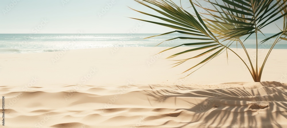 Zen pattern with palm leaves in white sand, spa background for meditation and relaxation