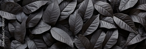 Abstract black tropical leaf textures for dark nature concept  perfect for tropical leaf background.